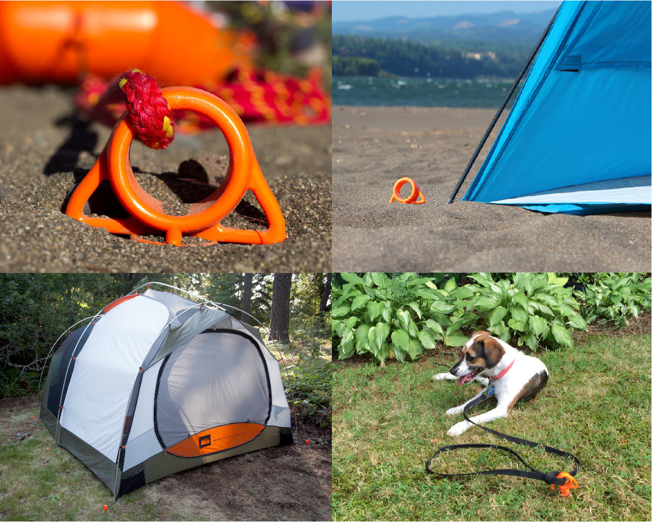 Dog ground anchor cheap